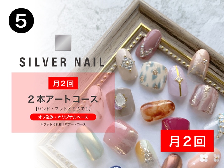 5.SILVER NAIL◇月2回 2本アートコース《ハンド or フットどちらでも可》